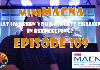 Episode 109 - miniMACNA - What has been your biggest challenge in reefkeeping?