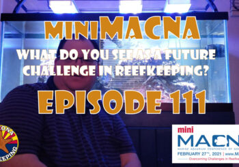 Episode 111 - miniMACNA - What do you see as a future challenge in reefkeeping?