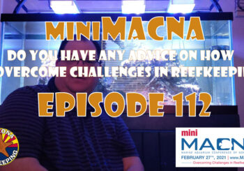 Episode 112 - miniMACNA - Do you have any advice on how to overcome challenges in reefkeeping?