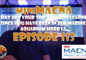 Episode 113 - miniMACNA - What are your top 3 lessons learned in reefkeeping?