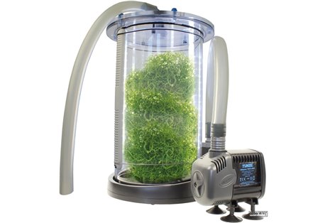 macro algae reactor