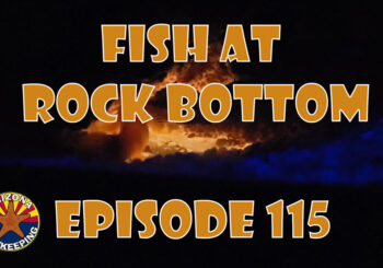 Episode 15 Fish at Rock Bottom